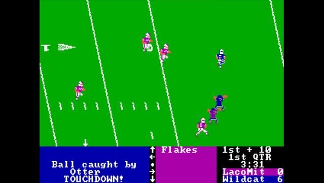 4th & Inches PC Screenshot