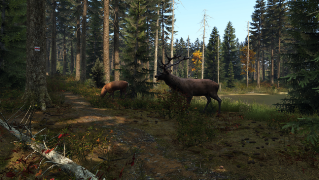DayZ PC Screenshot