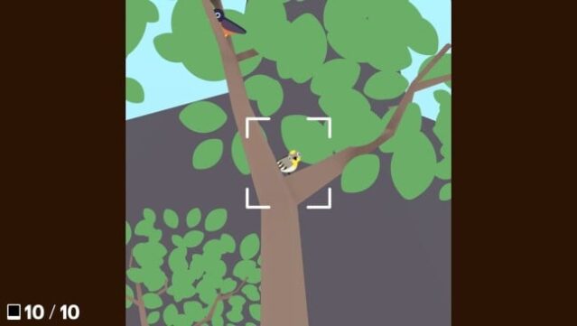 Flock Around Gameplay Screenshot