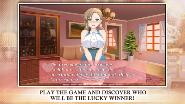 Himeko Maid PC Screenshot